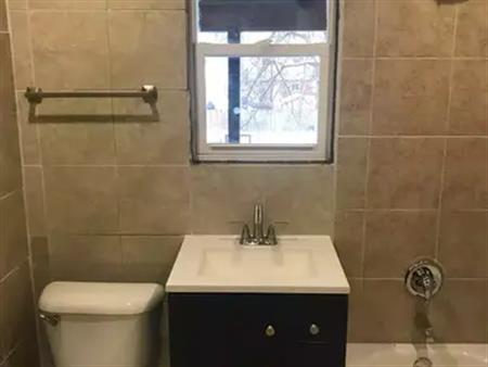 Nice and Newly renovated one (1) Bedroom apartment for rent in little Italy near Erie street | 1085 Pierre Avenue, Windsor