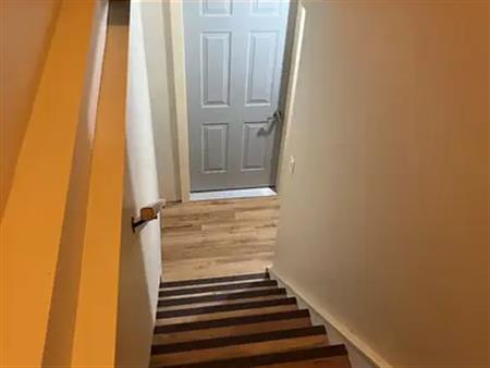 Spacious Basement Suite | Calgary