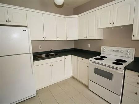 Big Bright Bowness Townhouse | Calgary