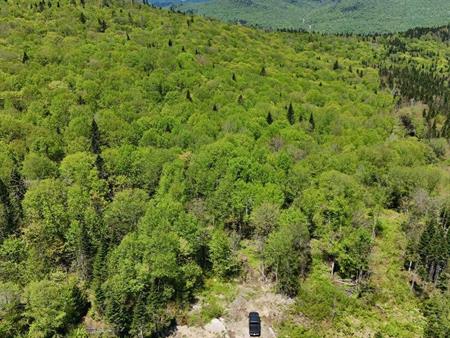 terre à bois à vendre