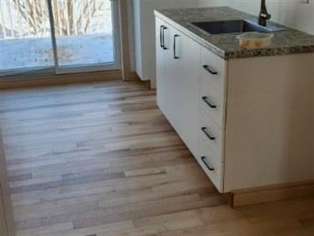 Beaumont, logement 3½ à louer, libre 1er août