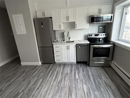 385 Melvin Unit 205 | 385 Melvin, Hamilton