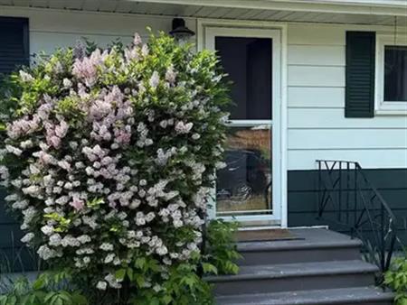 Charming 3-Bedroom Bungalow with Double Garage in Highwood | Calgary