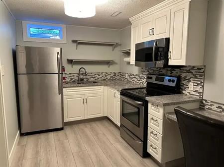 bright, renovated suite with fireplace, close to all amenities | Calgary