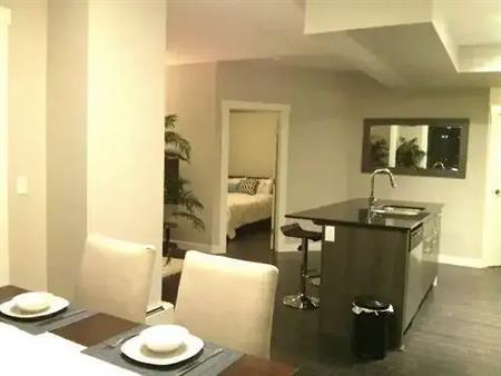 *Must See* FURNISHED -DOWNTOWN  2Bedroom & 2 BR at 104 street With PARKING | 10226 104 St NW, Edmonton