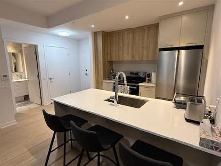 NEW CONDO 1 ROOM GRIFFINTOWN - FULLY FURNISHED - All NEW APPLIANCES INCLUDED