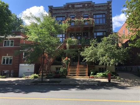 Plateau Mont-Royal, Magnifique 5 1/2 (1100 PC)