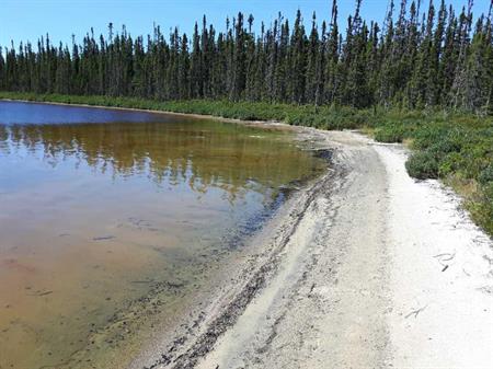 Terrain de villégiature exceptionnel (Bail)– chemin de la Domtar (Dolbeau)
