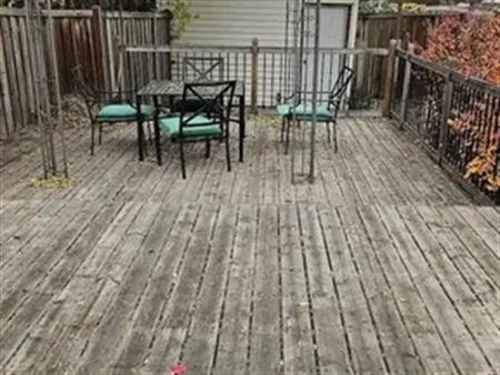Pet friendly, cozy  Allendale 2 bed 1 bath Basement suite for rent | Edmonton