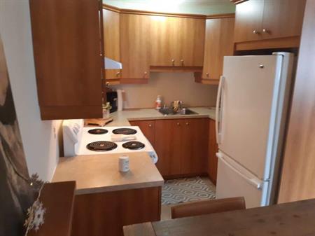 3 1/2 a louer Tranquille dans un triplex Cour Privé Table et BBQ Grande pièces ensoleiller, logement avec climatiseur mural. 