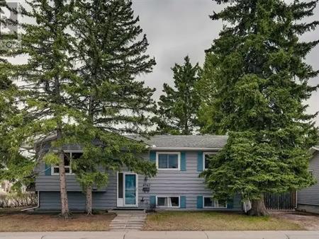 Very well-maintained house with a double garage and space for small RV | 4943 Valiant Drive Northwest, Calgary