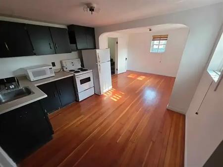 large 2 bedroom basement suite | 12046 85 Street, Edmonton