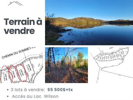 Terran de chasse Grenville sur la rouge