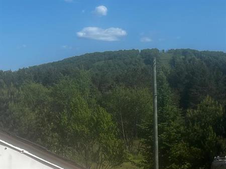 3 1/2 à louer à tremblant