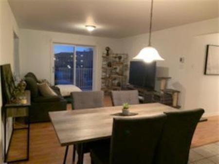 logement 145 Perreault 3 1/2