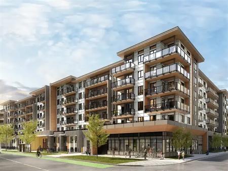 KOVO | 1131 Lawrence Avenue, Kelowna