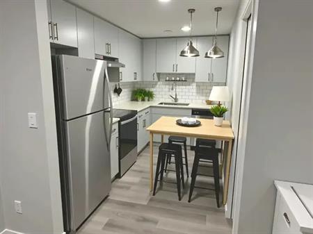 2 bedroom Brand new Basement Suite for Lease in Rosenthal, West Edmonton | 22152 81 Avenue Northwest, Edmonton