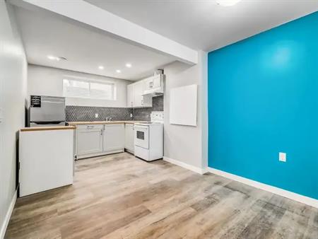 Stunning 1 bed Basement Suite | Calgary