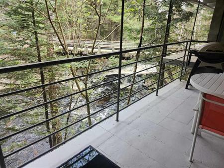 Studio au bord de leau a lentree du parc du mont tremblant