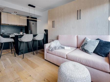 Loft entièrement meublé à louer Saint-Jean-Baptiste juillet 2025