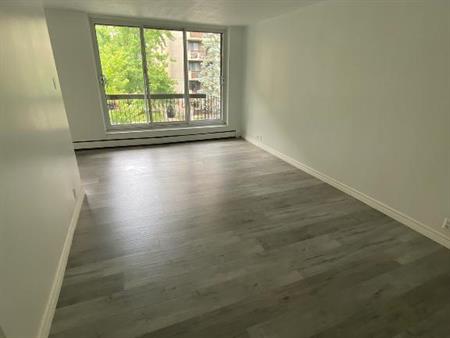 Appartement à louer rénové libre immédiatement