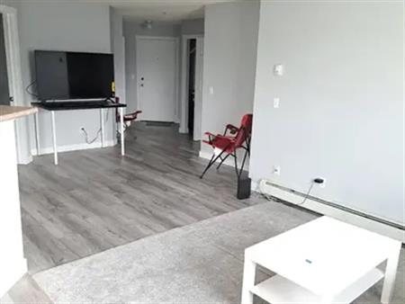 2 Bedroom Condo Next To LRT & All Amenities. New Flooring & Paint | 119,1000 Somervale Court sw, Calgary