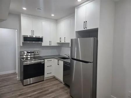 BRAND NEW LEGAL SUITE IN AMBLETON | 306 Ambleton Drive Northwest, Calgary
