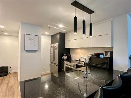 Grand 3 1/2 RUE MAGUIRE , Sillery - Québec