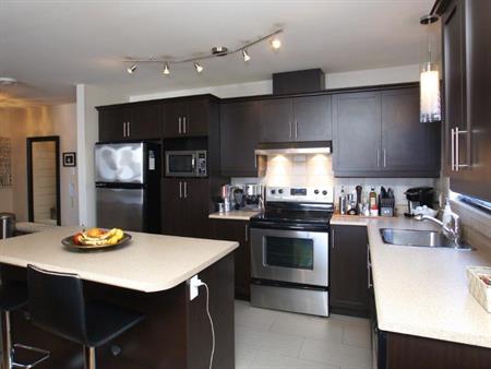 4 1/2 JUILLET LUXUEUX, TRES GRAND, ASCENSEUR, INSONORISÉ, TRANQUILLE, PRES DE TOUT, 50 ANES ET PLUS, VOIR VIDÉO