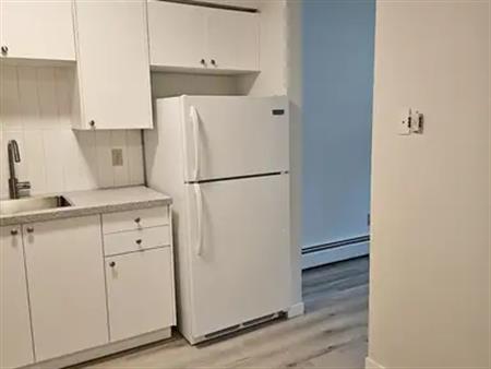 Just renovated 1 Bedroom Condo in ideal location | 44 - 366 94 Avenue SE, Calgary