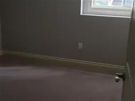 Cozy clean walk out basement with lake access! | Calgary