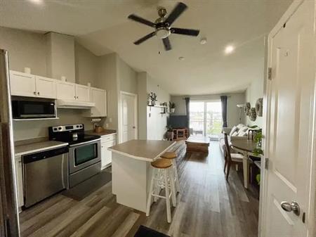 Cozy Furnished Top-Floor 2 bed Condo | Edmonton