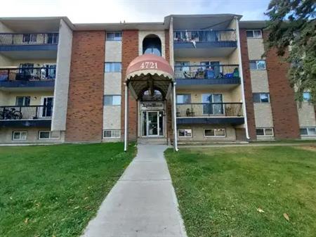 Large 1 Bedroom Newly Renovated Unit!! | 4721 55 Street, Red Deer