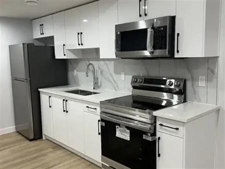 Brand New Legal 2 Bedroom Basement Suite for Rent in Aster | Edmonton