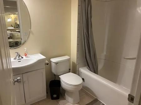Fully Founished One Bedroom Basement | 249 Covebrook Close Northeast, Calgary
