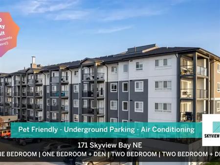 Skyview Living | 171 Skyview Bay NE, Calgary