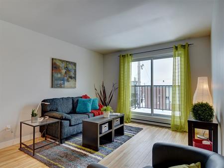 Des Cèdres Appartement 3 ½ à Louer Limoilou Juillet 2025