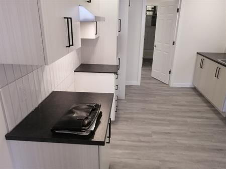 MTL-NORD : 3 ½ GRAND, RÉNOVÉ DDS EAU CH