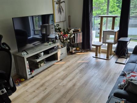 Appartement 3 1/2 A Louer Rapidement