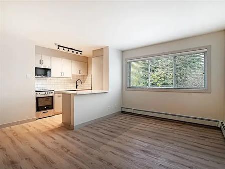 Pet-Friendly, Renovated 1-Bedroom in Bankview – Free Parking & Inner-City Living | 1821 17 Street Southwest, Calgary