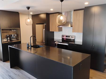 4 1/2 (2 Chambres + 1 SdB)
