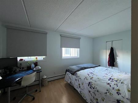 Large Apartment