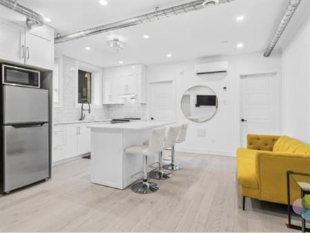 McGill Area - Superb 4 1/2 Furnished