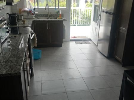 ROSEMONT : TRES GRAND 5 ½ RDC, RÉNOVER,