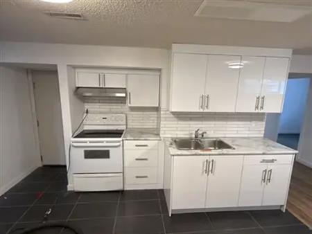 Newly partially renovated basement suite, one bedroom and an office | 4144 Maryvale Road Northeast, Calgary