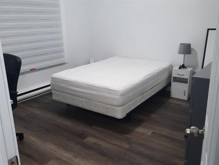 Chambre à Louer