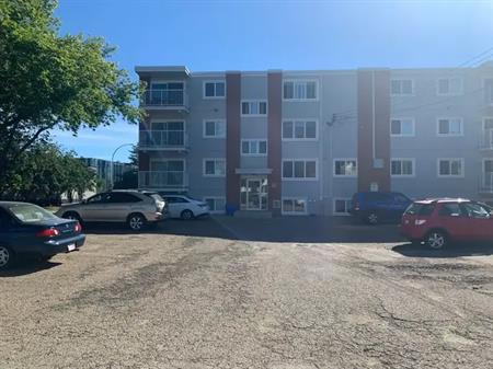 Updated 1 bed 1 bath apartment*outdoor parking*balcony | 10330 113 Street, Edmonton