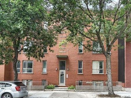 Appartement Montréal (Ville-Marie) À Louer