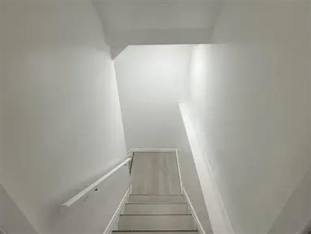 Beautiful basement suite for single or working couple | 16520 115 Street Northwest, Edmonton
