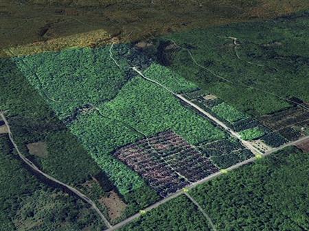 Terrain
